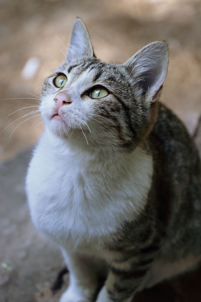 Photograph by Behnam Lohrasebi