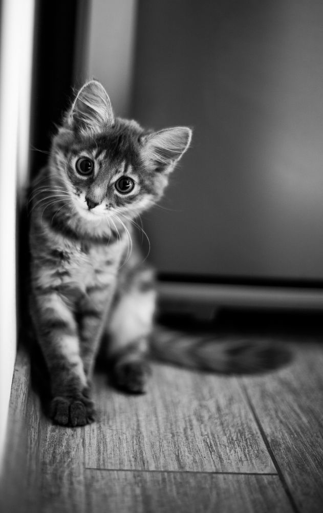 Photograph by Алексей Галкин