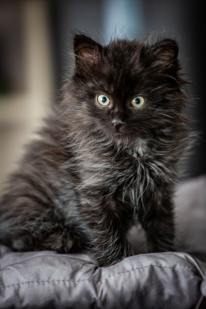 Photograph by Алексей Галкин