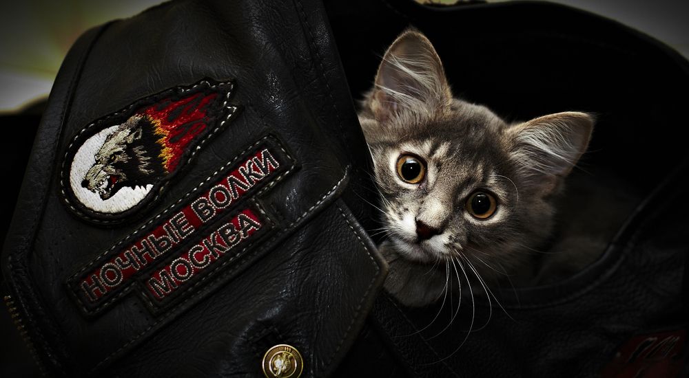 Photograph by Алексей Галкин