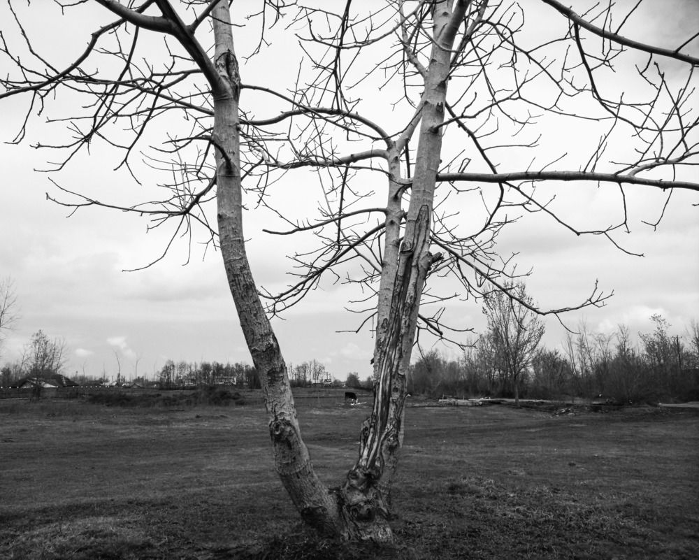 Photograph by Ehsan Ehsan