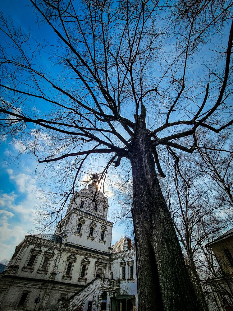 Photograph by Плотников Дмитрий