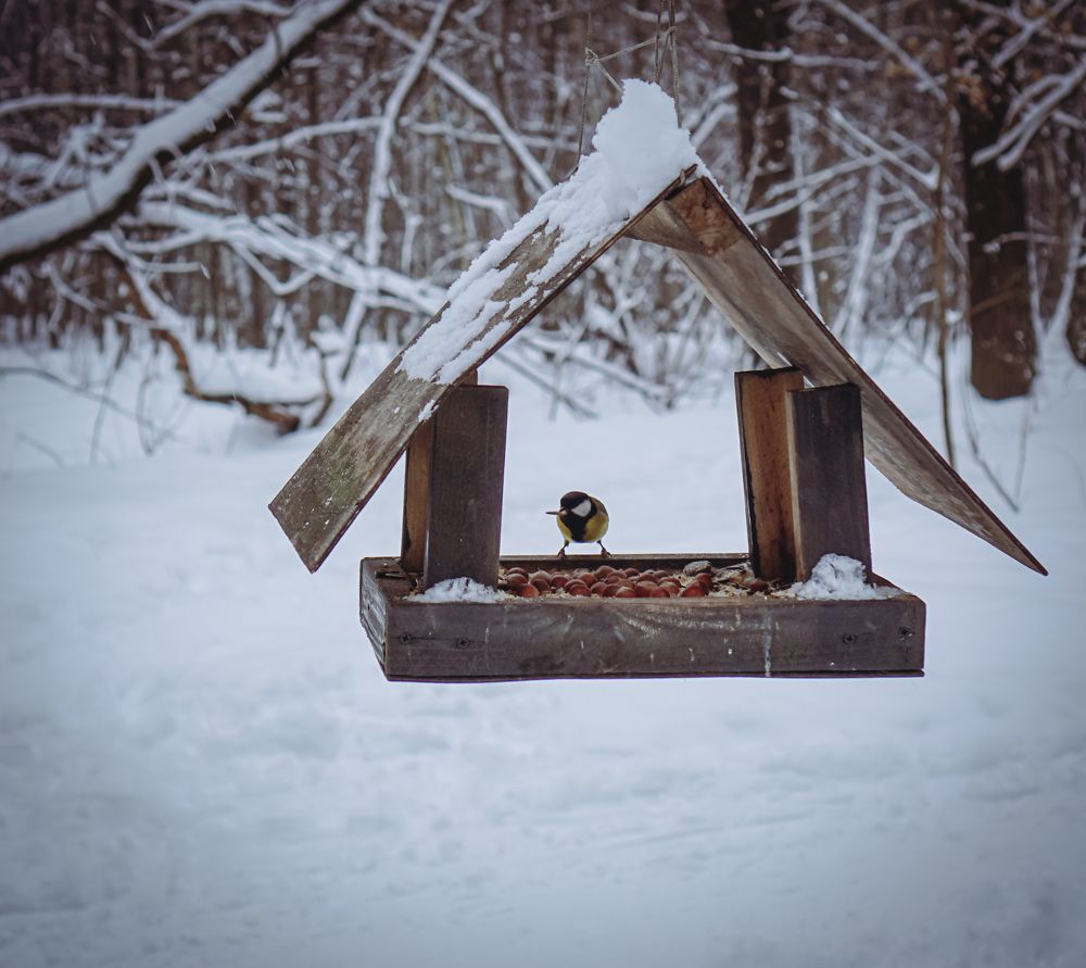 Photograph by Вера Кобченко