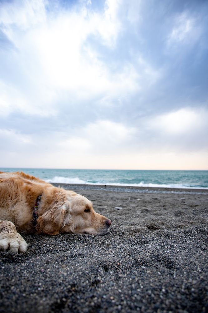 Photograph by Александр Вдовенко
