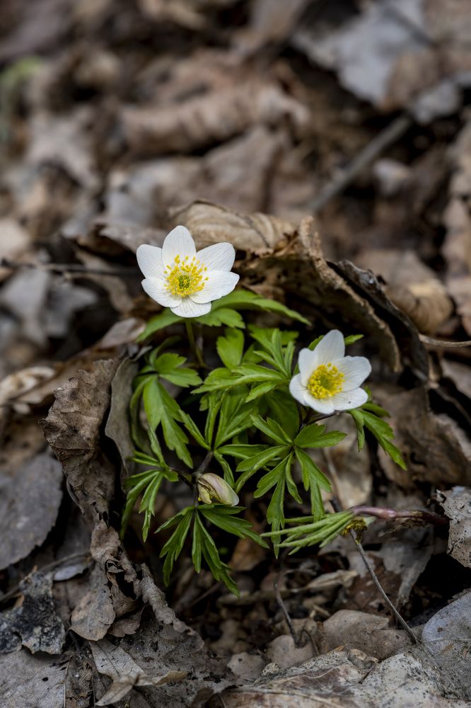 Фотография автора Евгений Глембоцкий