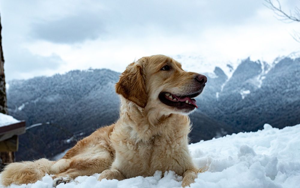 Photograph by Александр Вдовенко