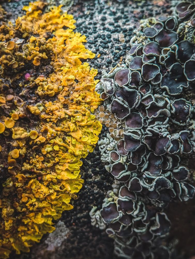 Фотография автора Ксения