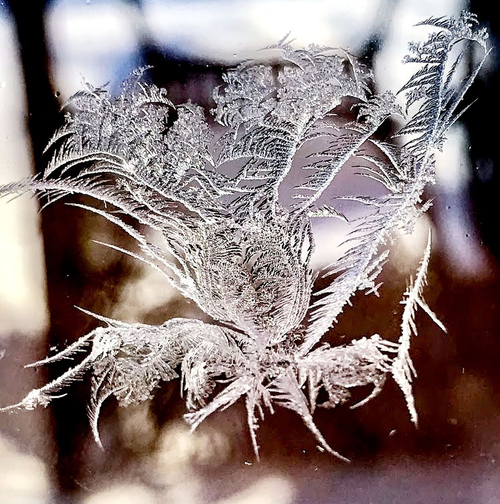 Photograph by Андрей Зиновьев