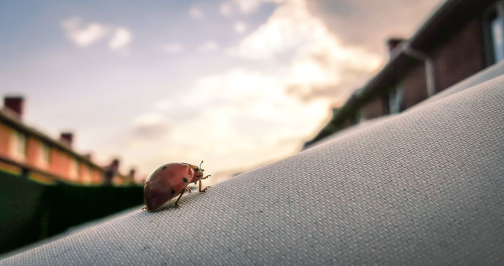 Photograph by Ксения Супрун