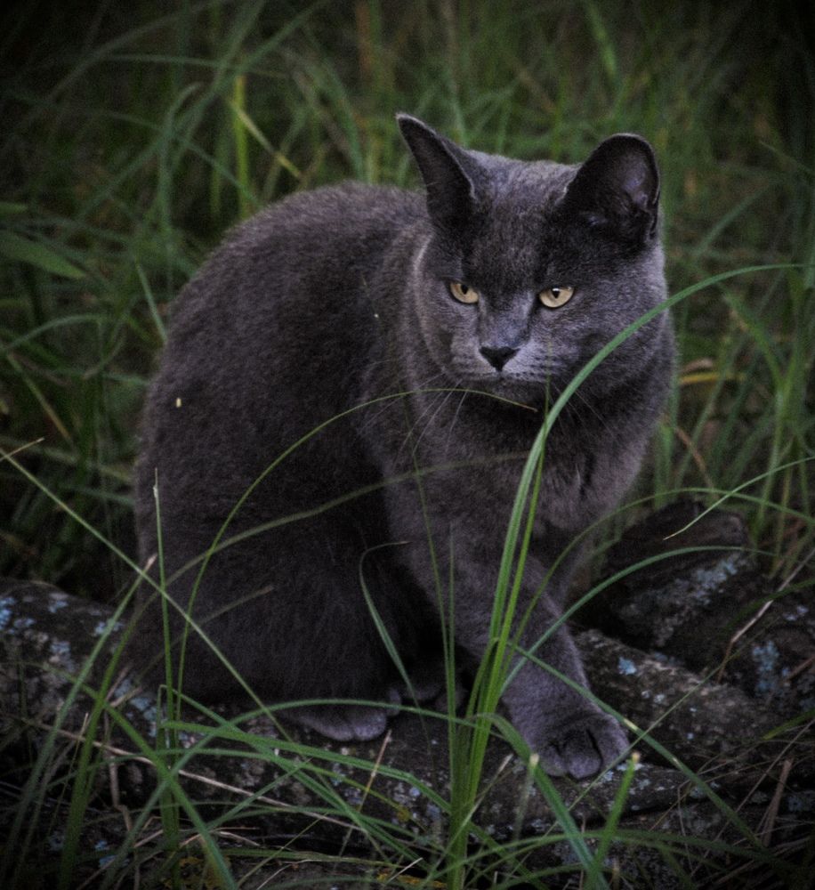 Photograph by Анастасия Тырыкина