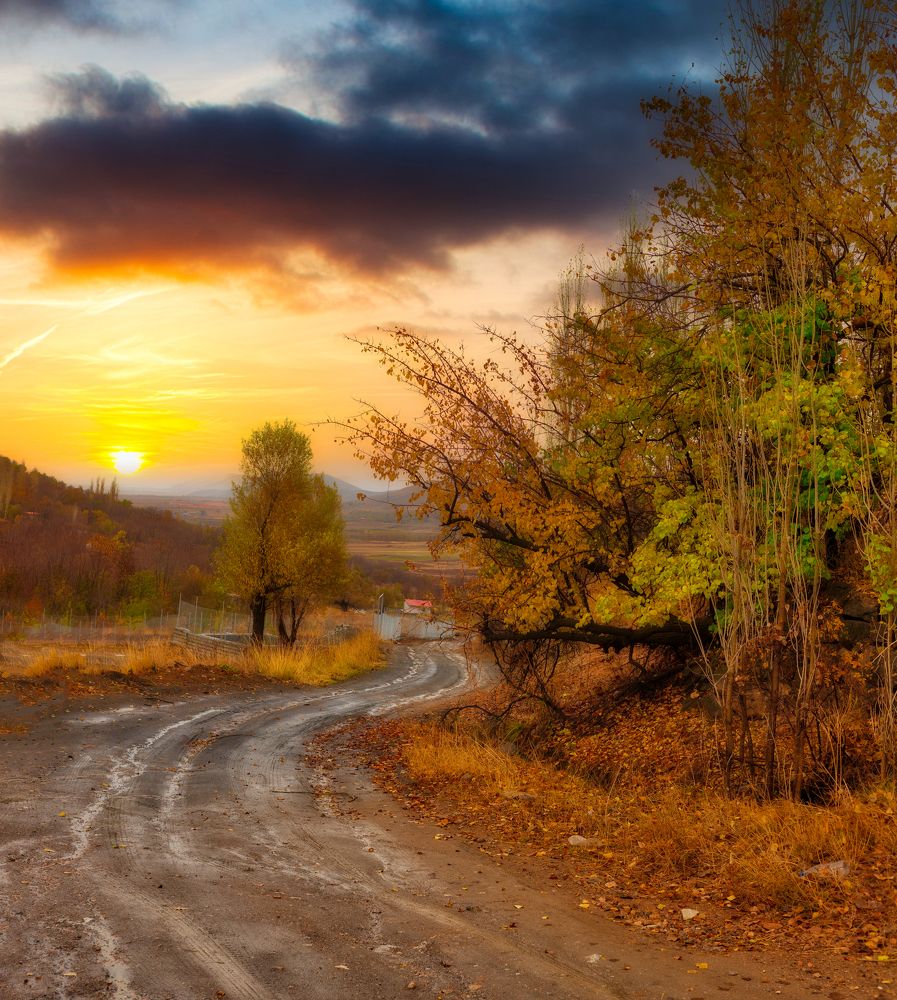 Photograph by Hamid Espanani