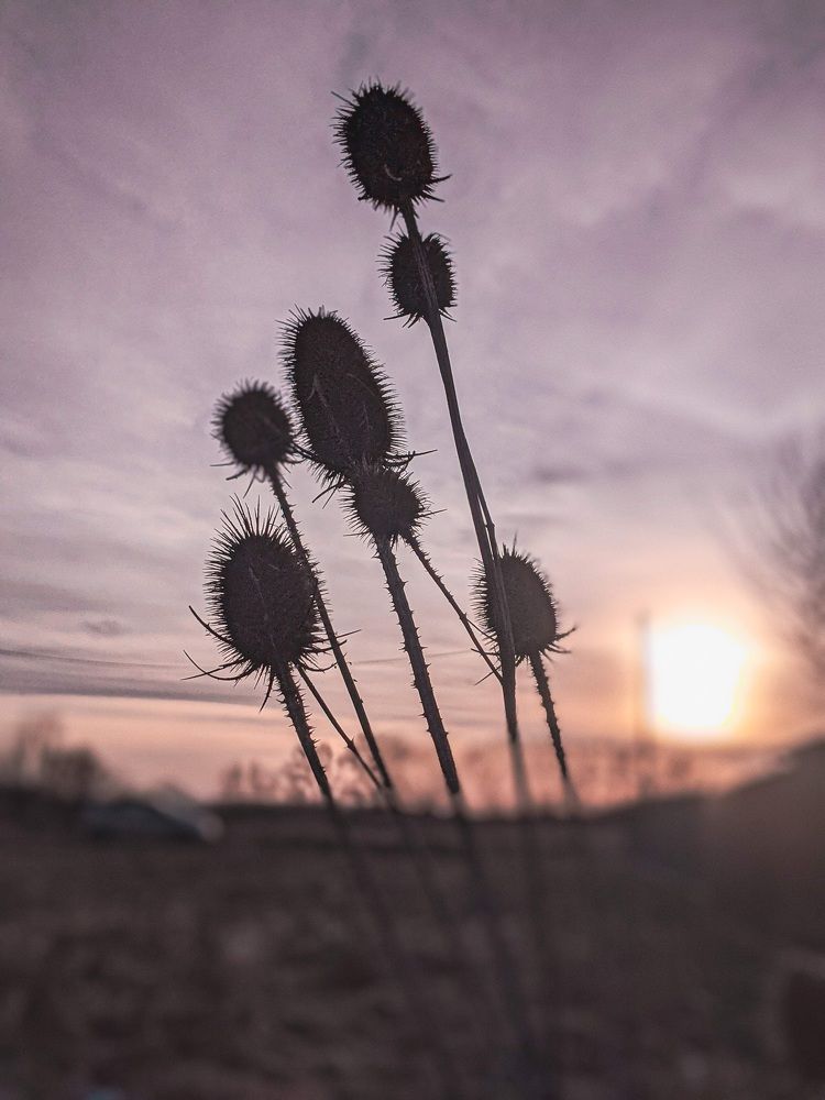 Фотография автора Ксения