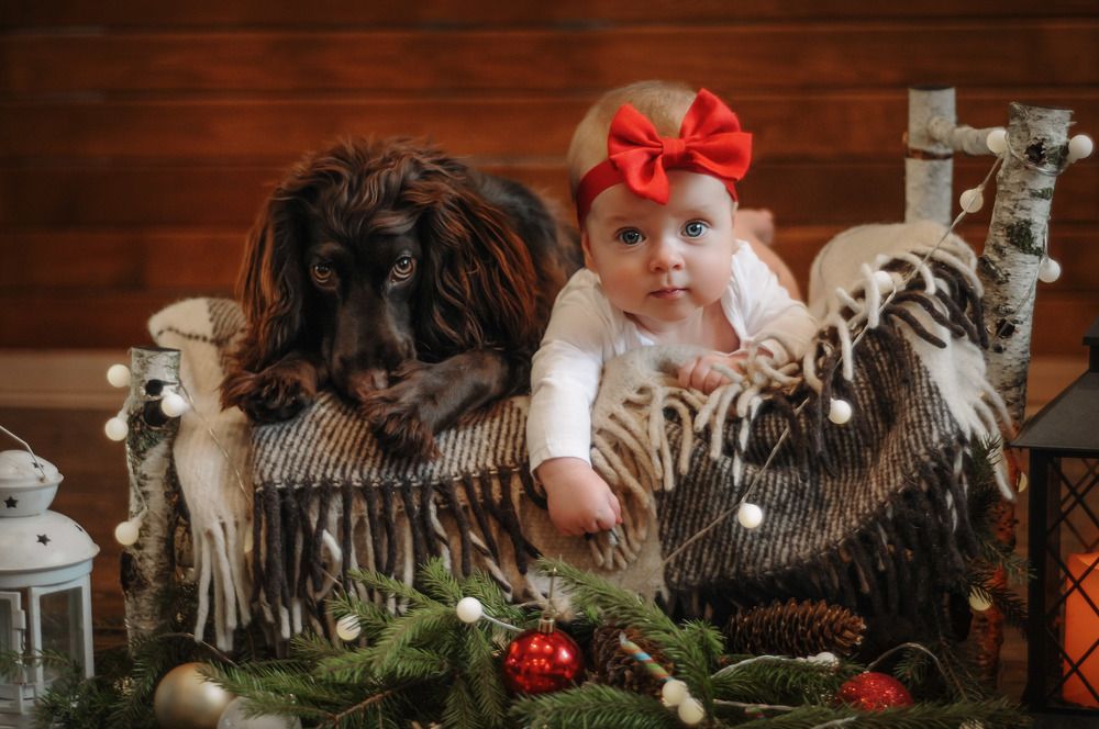 Photograph by Ирина Игнатьева