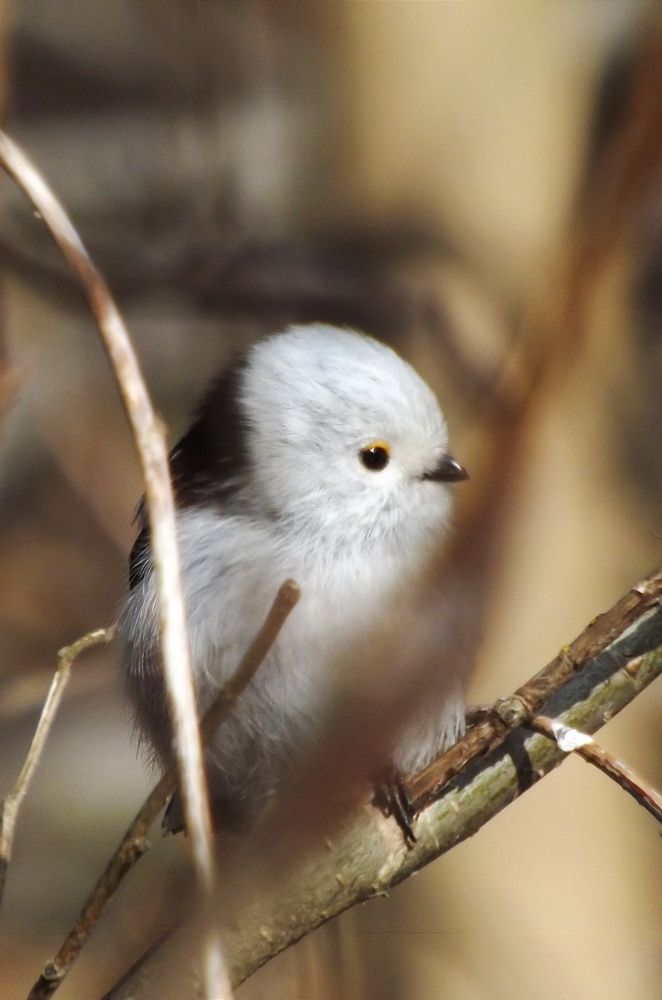 Photograph by Янина Черпухина-Андреева
