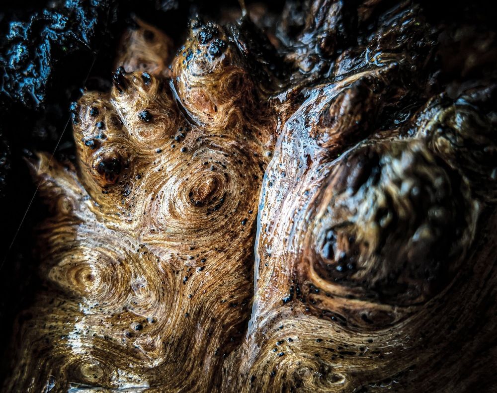 Фотография автора Ксения