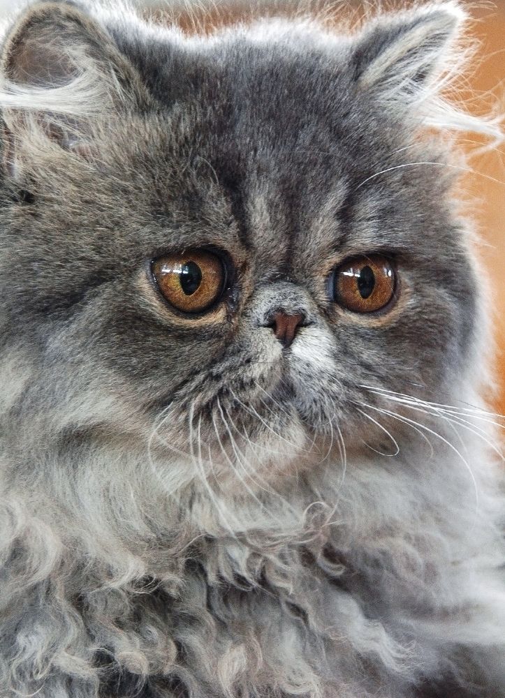 Photograph by Алексей Патлах