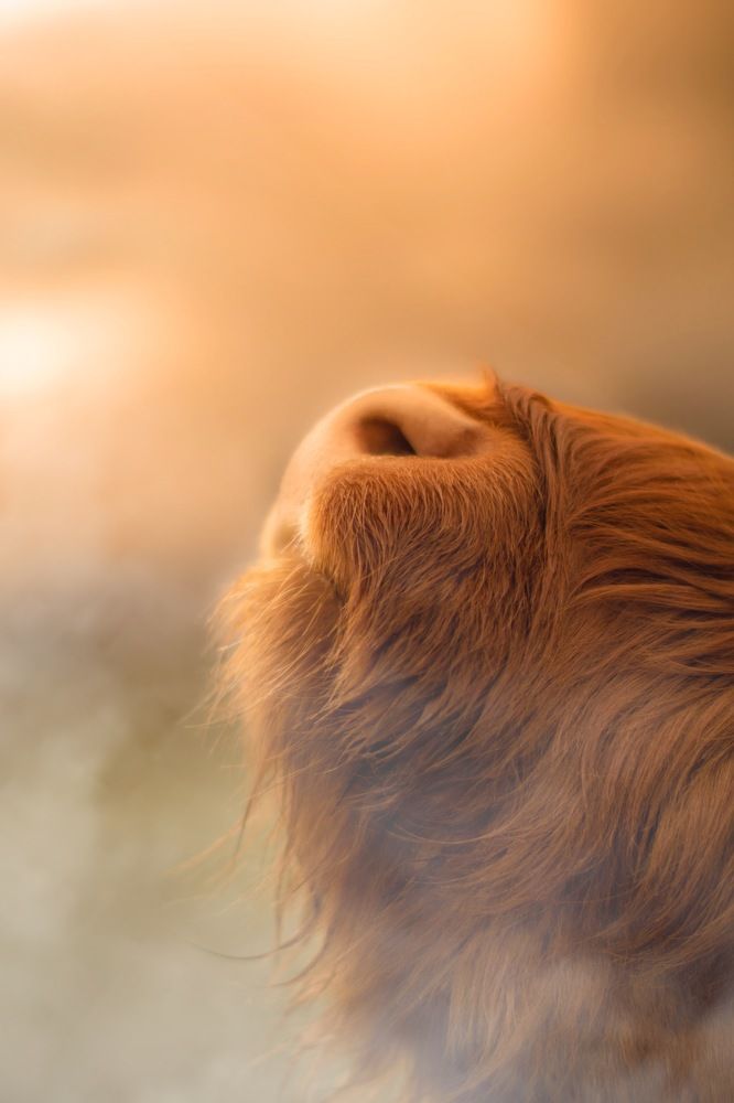 Photograph by Ирина Валь