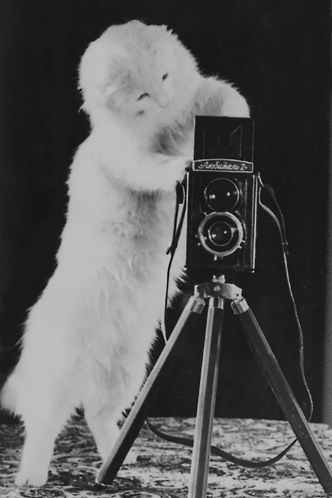 Photograph by Алексей Патлах