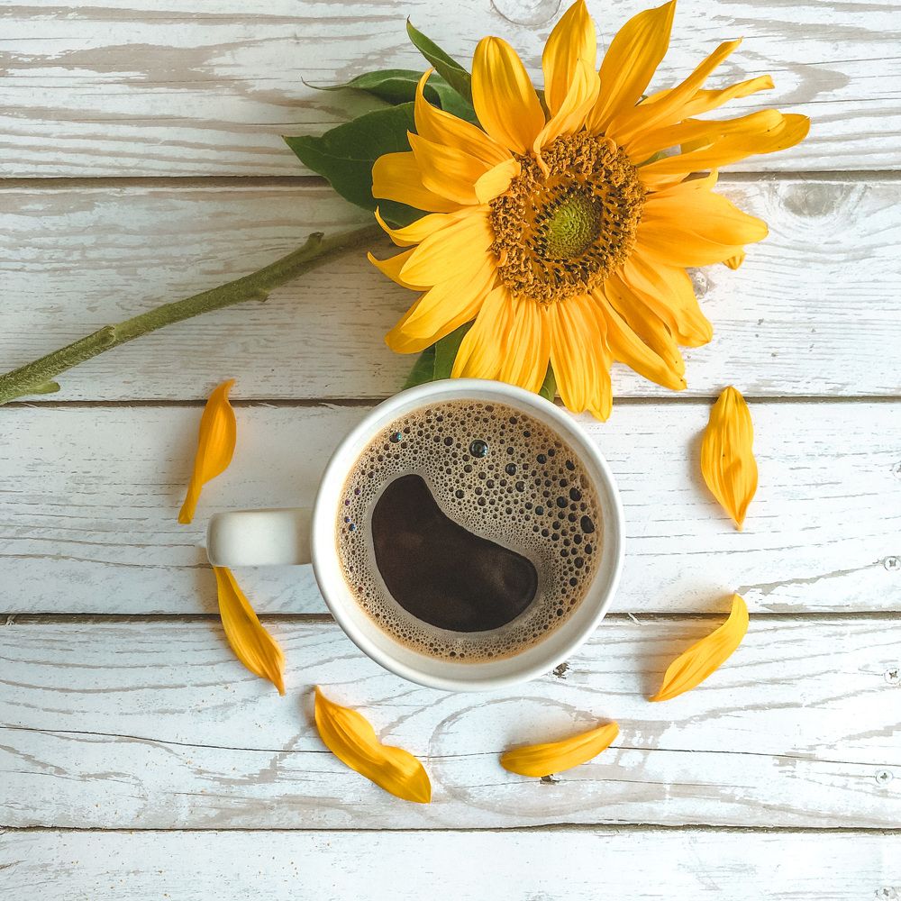 Photograph by Мария Королькова