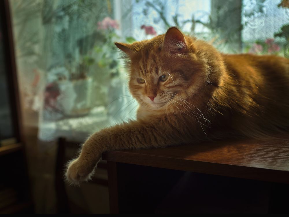 Photograph by Александр Ещенко