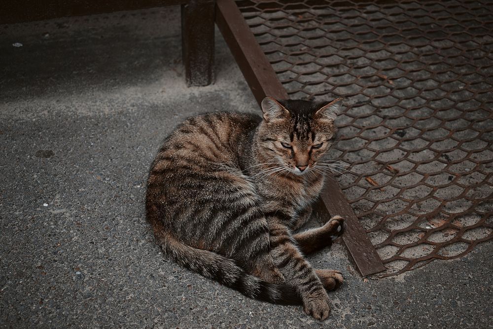 Photograph by Камилла Габитова