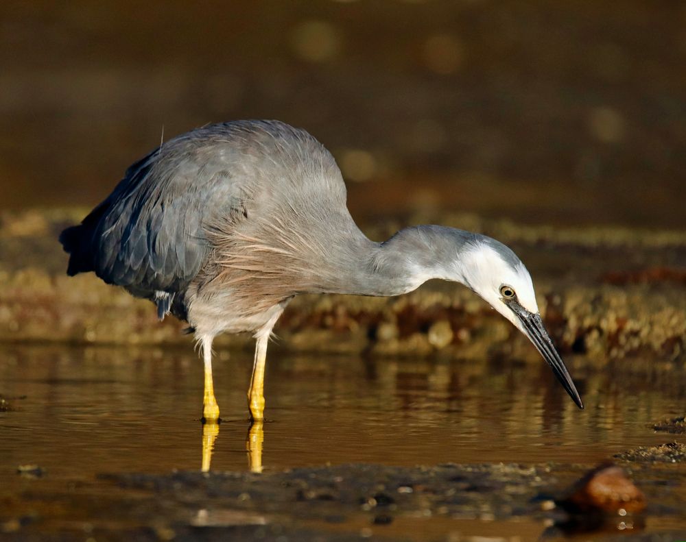 Photograph by johan koch