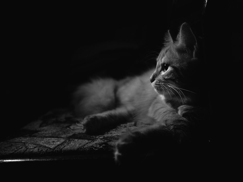 Photograph by Александр Ещенко