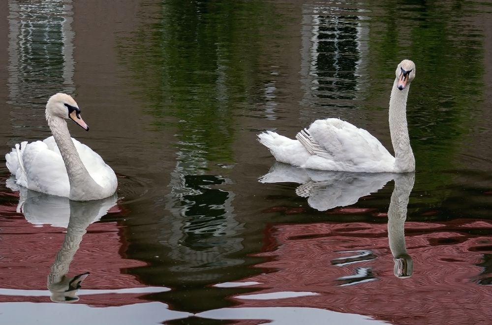 Photograph by Алексей Патлах