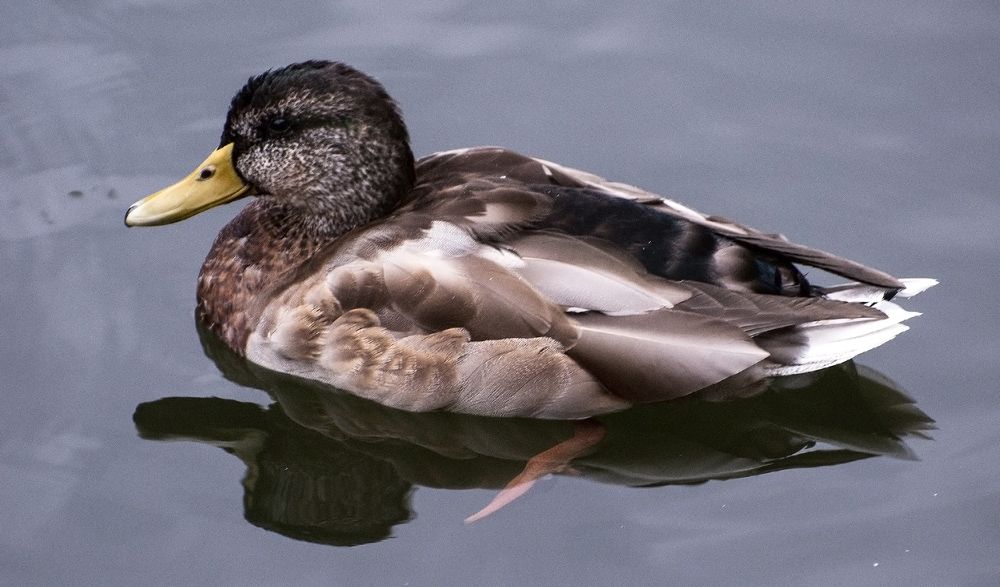 Photograph by Алексей Патлах