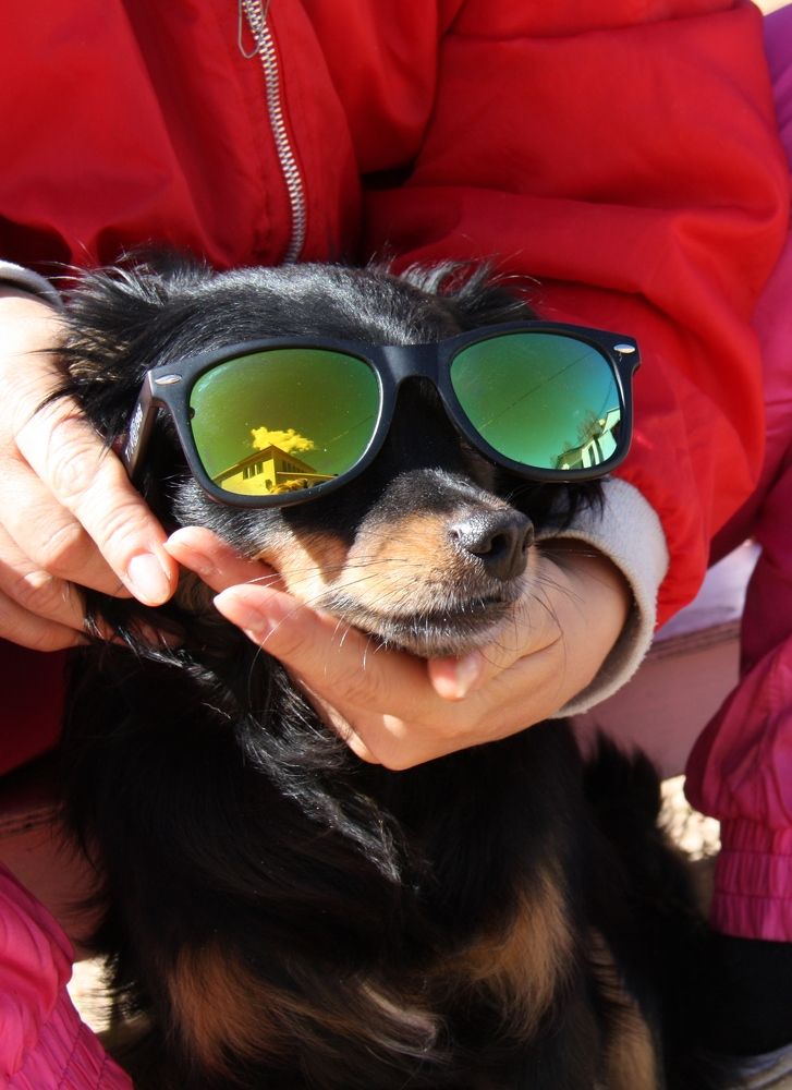 Photograph by Мария Королькова