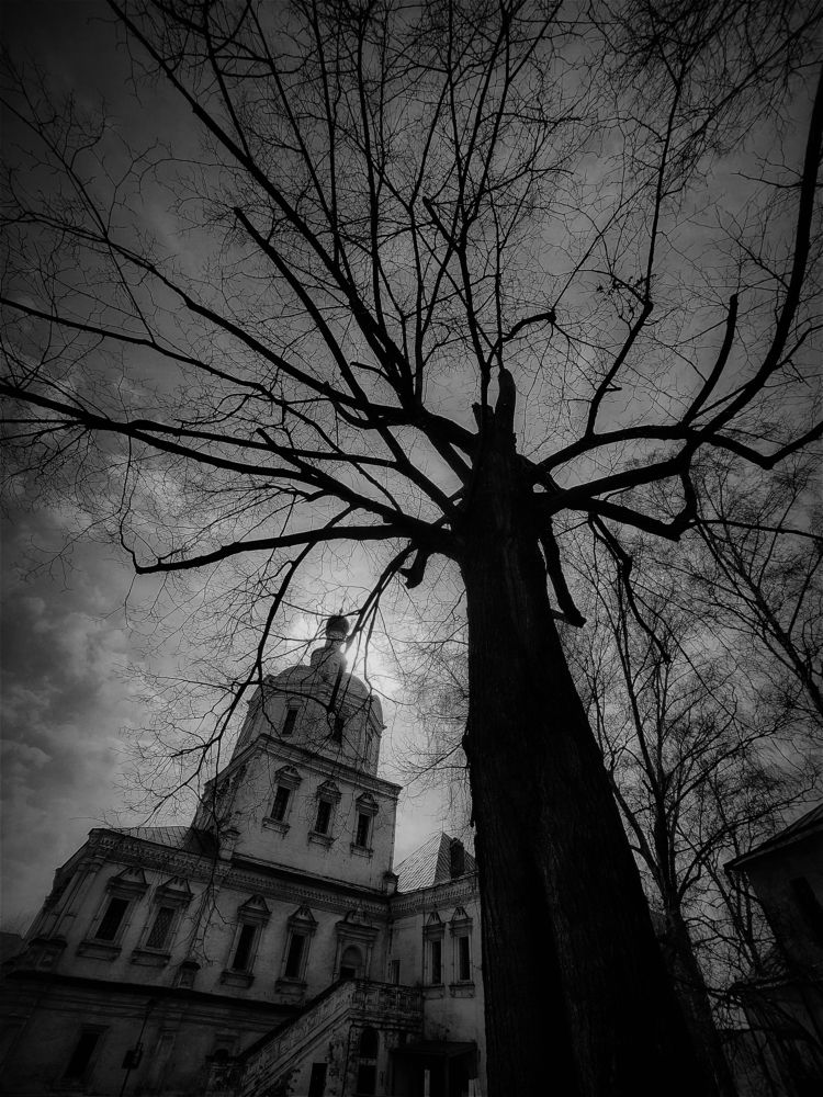 Photograph by Плотников Дмитрий