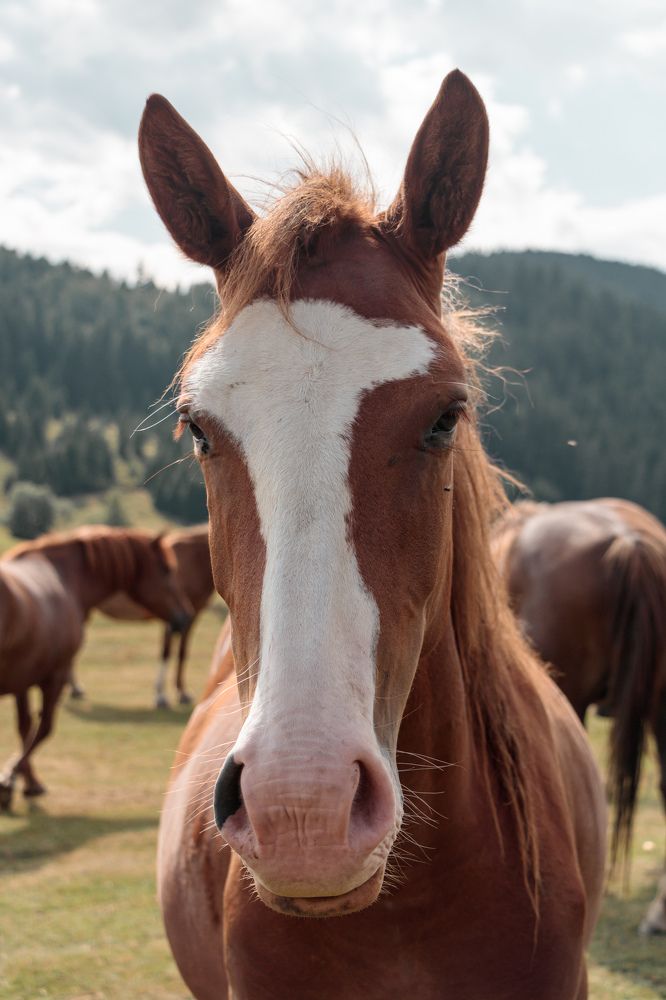 Photograph by Александра