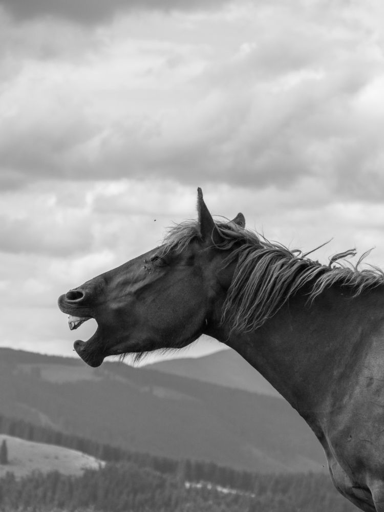 Photograph by Александра