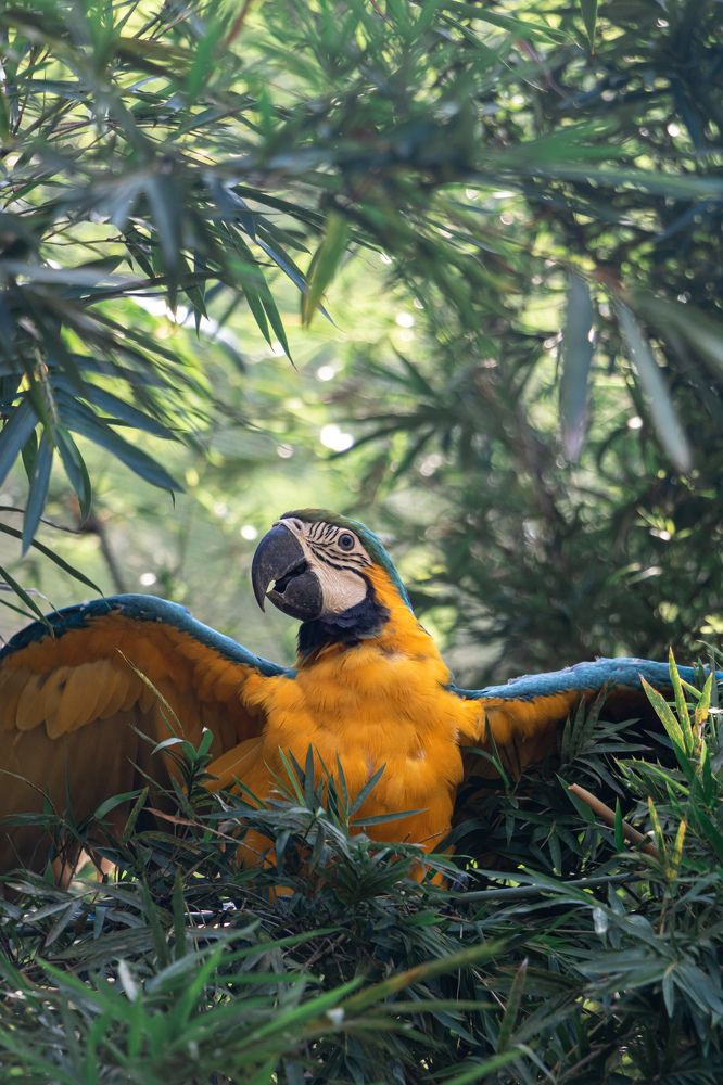 Photograph by Александра