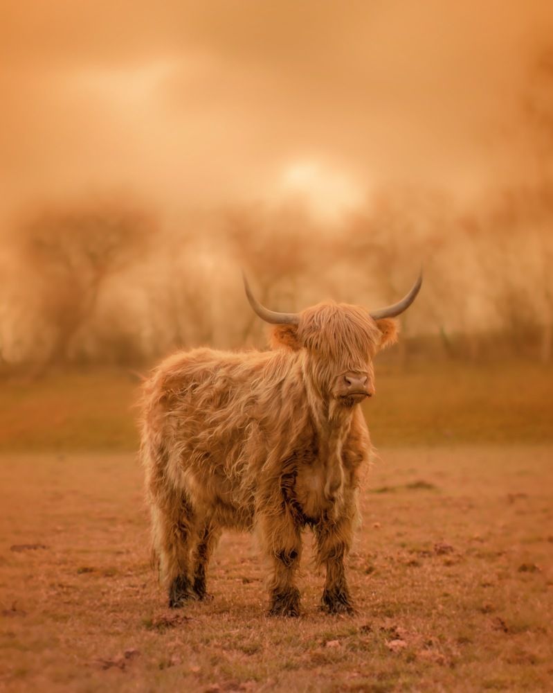 Photograph by Ирина Валь