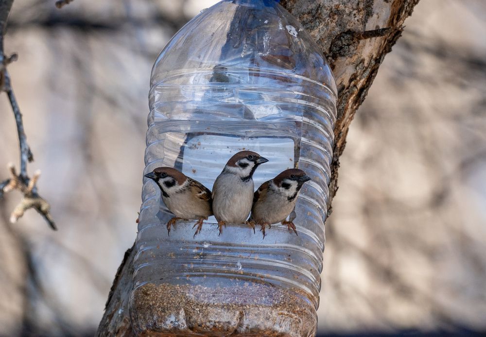 Photograph by Баландин Дмитрий