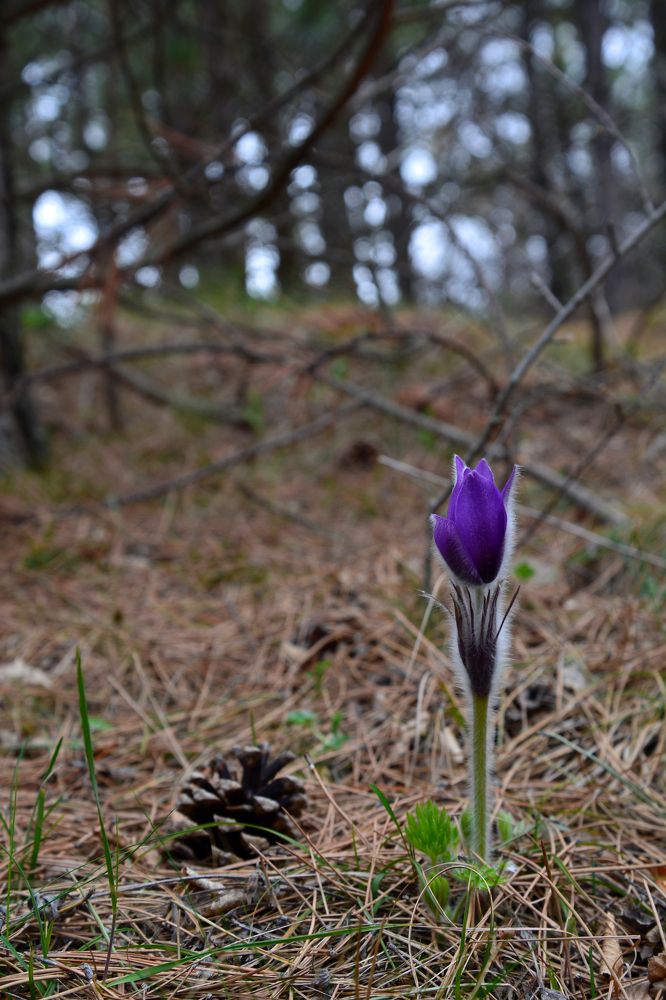 Photograph by Анатолий Орлов