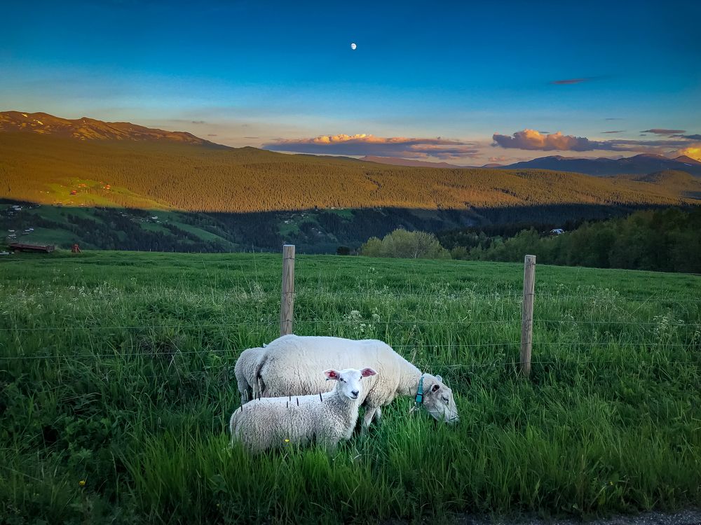 Photograph by Юлия Шурандина