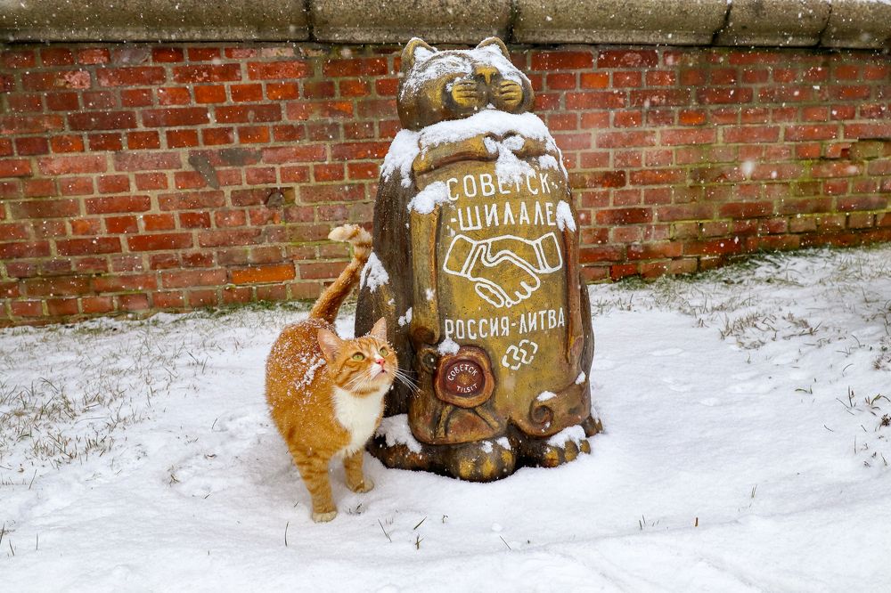 Photograph by Адриана