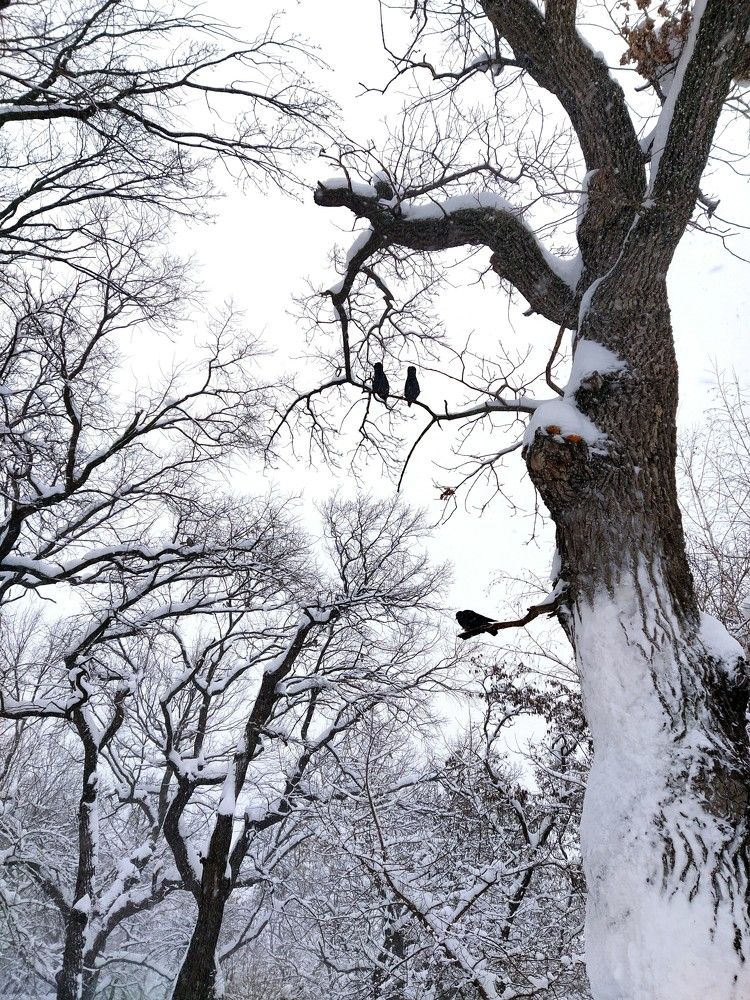 Photograph by Karina Yakovleva