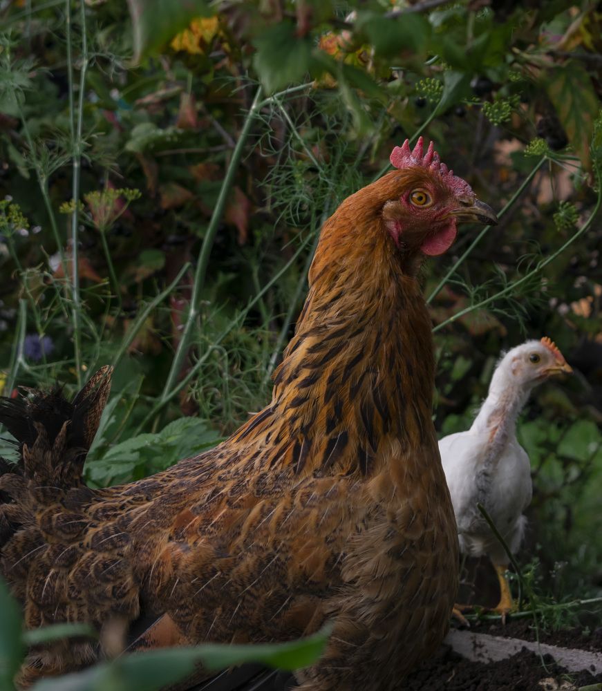 Photograph by Олег Бережных