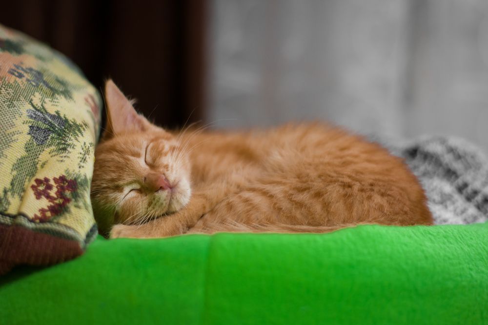 Photograph by Олег Бережных