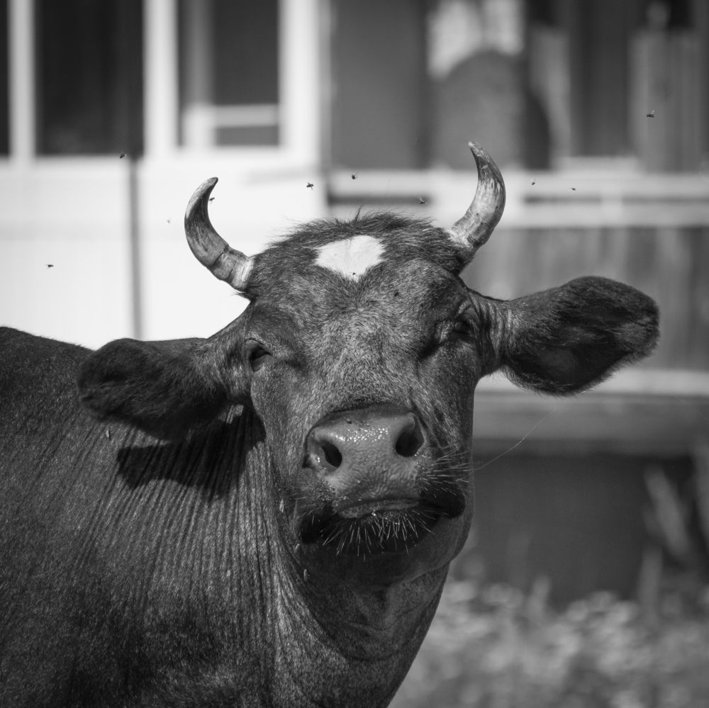 Photograph by Олег Бережных