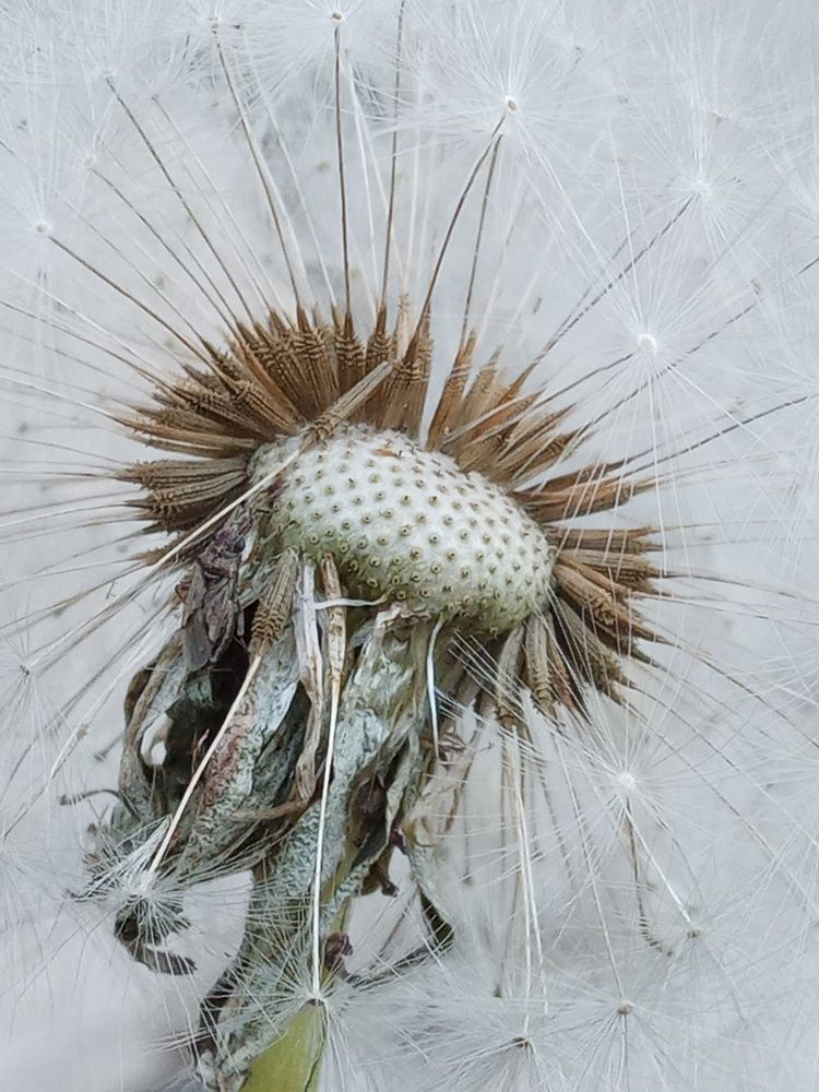 Уже не молод