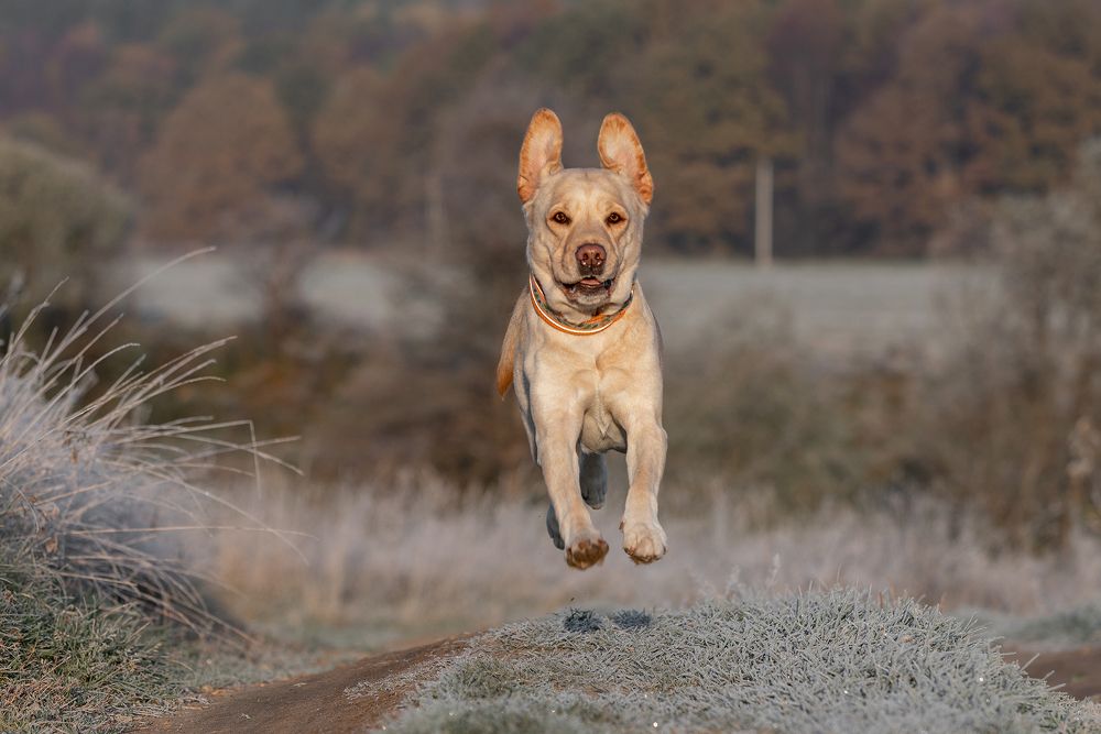 Photograph by Шерскова Мария