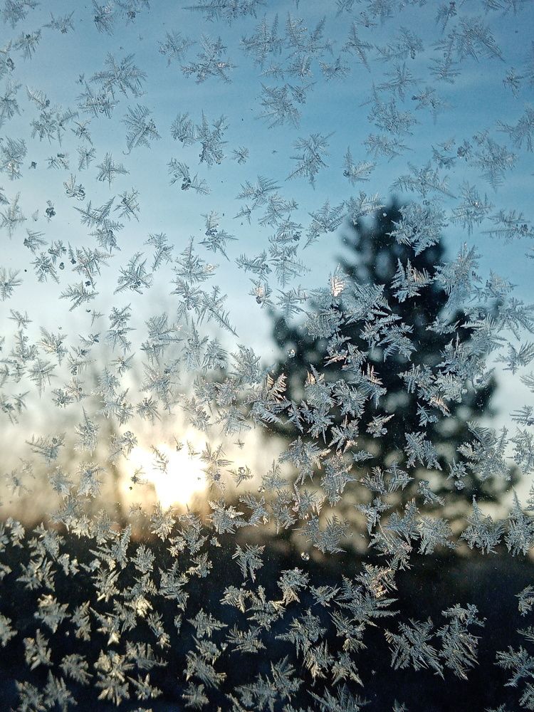 Зимнее утро