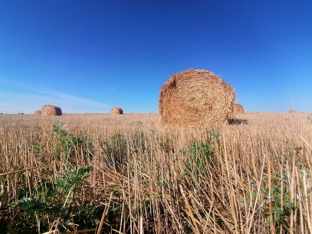 Photograph by Евгений Беляев