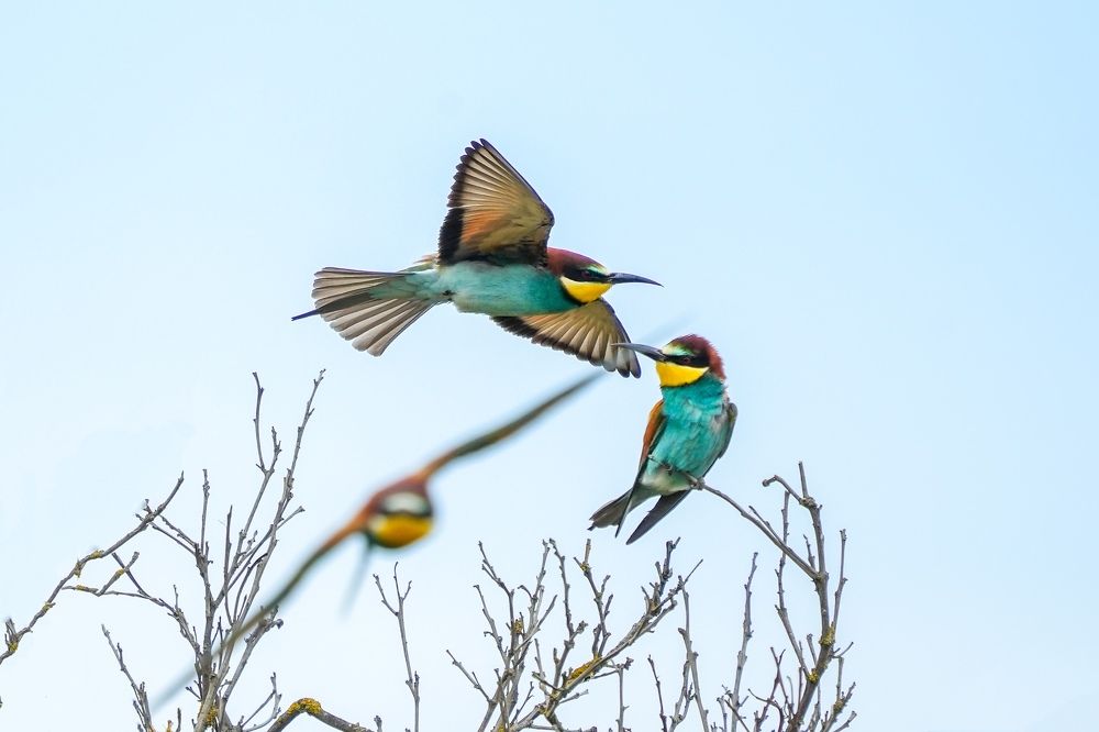 Фотография автора Jian Ma