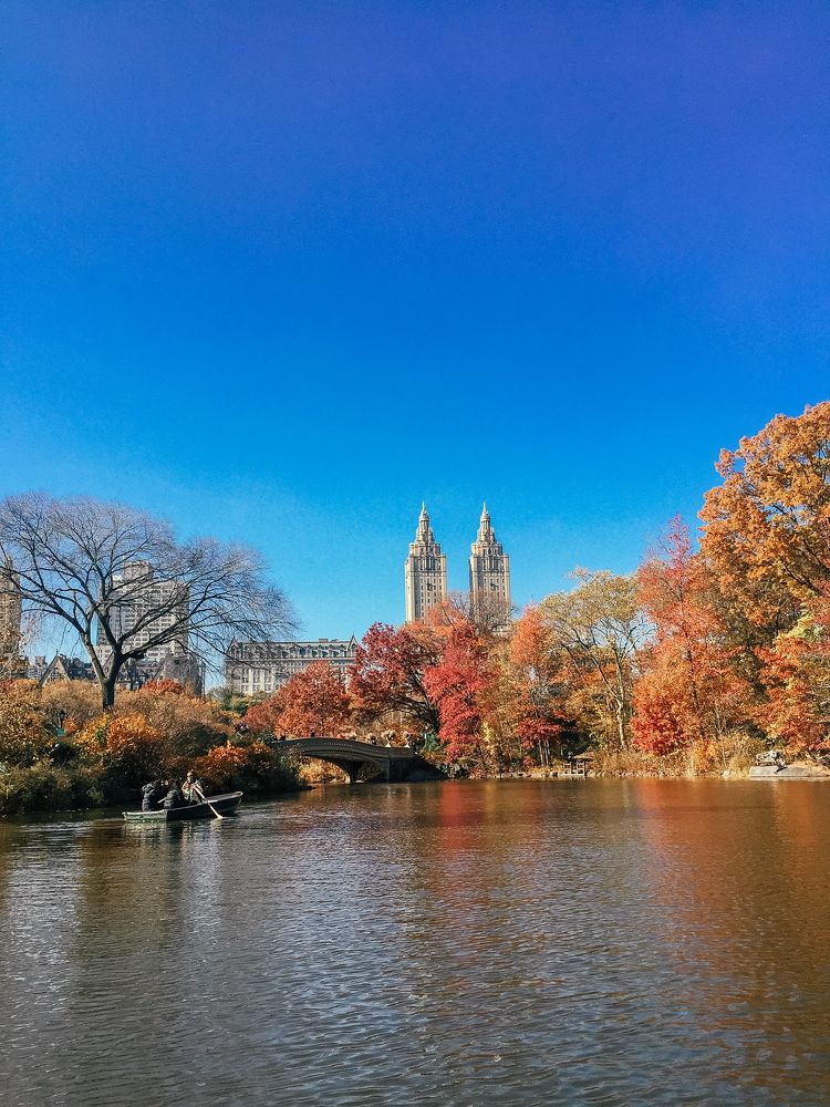Central Park. Autumn