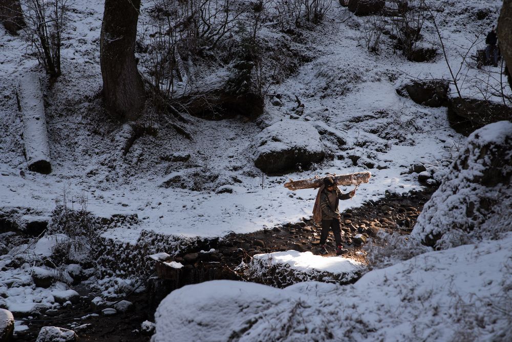 Photograph by Amaan Ali